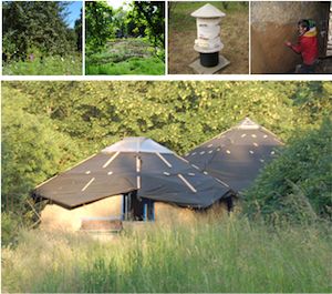 entetepdc-crocus-principale1